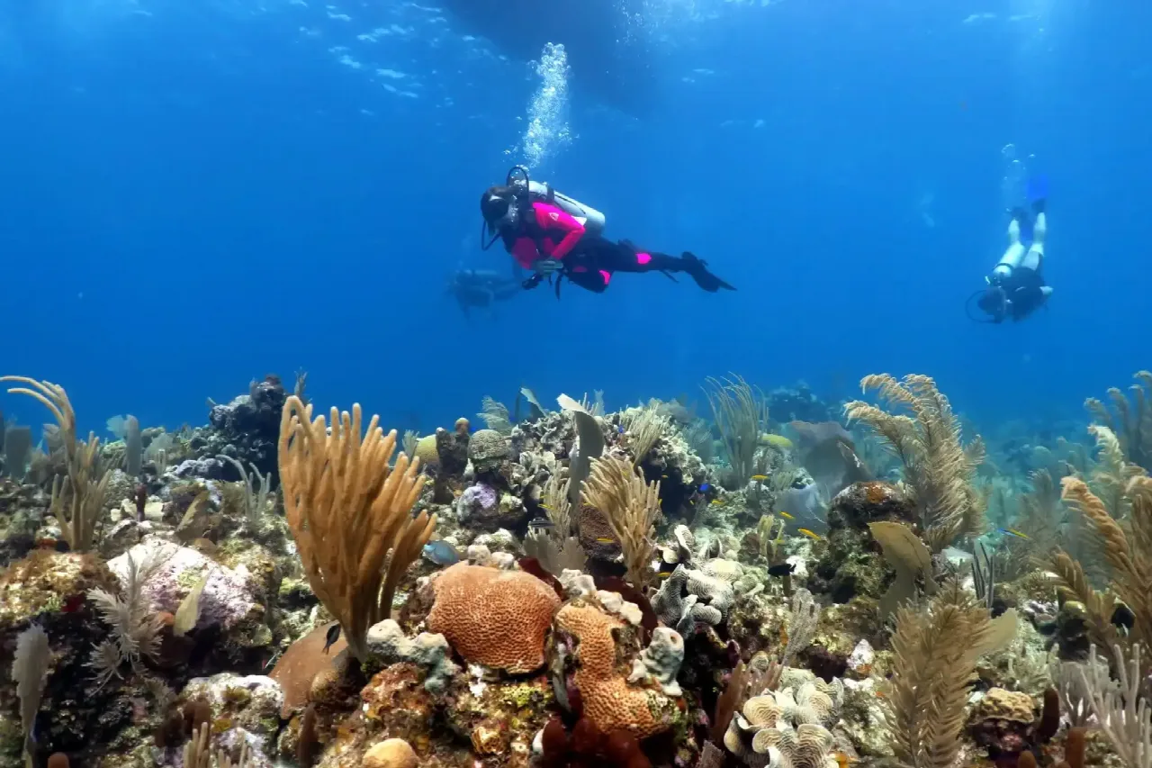Utila