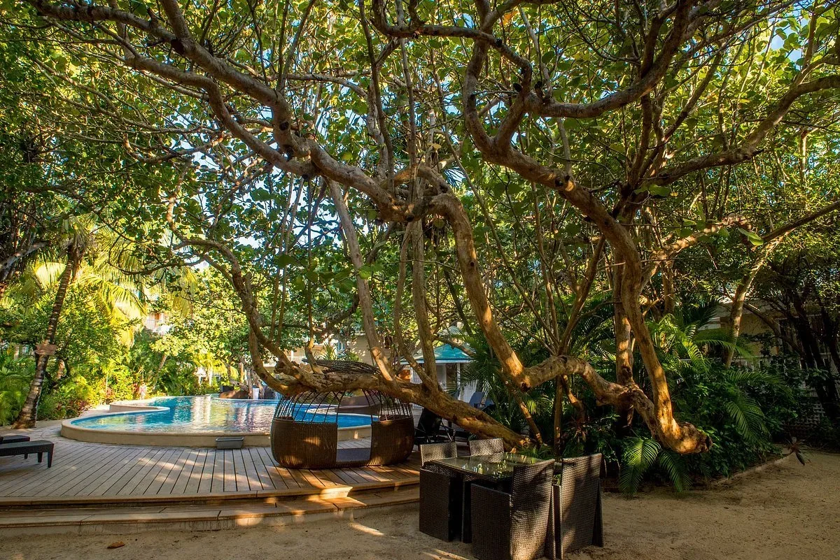 Paradise Beach Hotel
