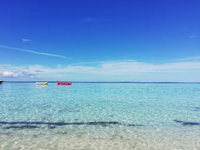 Paseo en lancha y playa